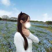 ヒメ日記 2026/05/03 12:26 投稿 ゆあ　至福の贅沢感を届ける美女 ROYAL FACE
