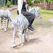 ヒメ日記 2025/11/06 18:04 投稿 ももこ　愛溢れる癒し美女 ROYAL FACE