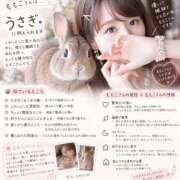 ヒメ日記 2026/09/18 19:12 投稿 ももこ　愛溢れる癒し美女 ROYAL FACE