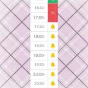 ヒメ日記 2025/11/14 12:50 投稿 れおな　アイドル系美女 ROYAL FACE