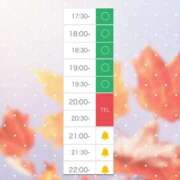 ヒメ日記 2025/11/27 16:02 投稿 れおな　アイドル系美女 ROYAL FACE