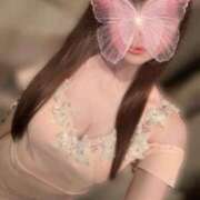 ヒメ日記 2026/04/08 12:07 投稿 まいか　芸術的なシルエット ROYAL FACE