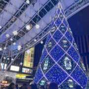 ヒメ日記 2025/11/14 18:42 投稿 える　心奪われる上品な美女 ROYAL FACE