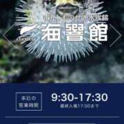 ヒメ日記 2026/01/26 01:12 投稿 える　心奪われる上品な美女 ROYAL FACE