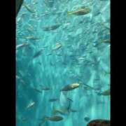 ヒメ日記 2026/04/10 08:02 投稿 える　心奪われる上品な美女 ROYAL FACE