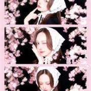 える　心奪われる上品な美女 今日🙆‍♀️います✨✨ ROYAL FACE