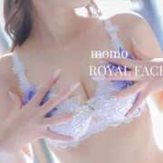 ヒメ日記 2026/04/23 14:52 投稿 もも　エレガンス美女 ROYAL FACE