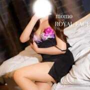 ヒメ日記 2026/04/24 10:35 投稿 もも　エレガンス美女 ROYAL FACE