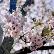 ヒメ日記 2026/04/20 17:43 投稿 れな　透明感溢れる麗しい美白美女 ROYAL FACE