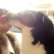 ヒメ日記 2025/11/14 05:22 投稿 ティナ　語り継がれる彼女の魅力 ROYAL FACE