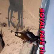 ヒメ日記 2025/12/29 08:42 投稿 ティナ　語り継がれる彼女の魅力 ROYAL FACE