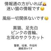 ヒメ日記 2026/07/06 09:20 投稿 ティナ　語り継がれる彼女の魅力 ROYAL FACE