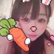 ヒメ日記 2025/10/30 16:42 投稿 せれん メイドde本舗