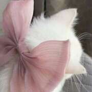 ヒメ日記 2026/04/15 07:33 投稿 リコ Club NANA 大阪