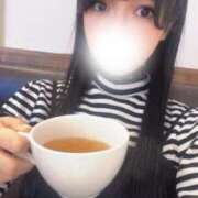 芹花【セリカ】 楽しみ🎟️ 輝女