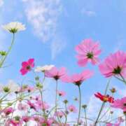 ヒメ日記 2025/10/30 20:30 投稿 りお 丸妻 池袋店