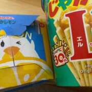 ヒメ日記 2025/12/22 17:16 投稿 うめこ 西東京市小平ちゃんこ