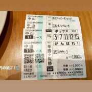 ヒメ日記 2025/12/23 20:04 投稿 うめこ 西東京市小平ちゃんこ