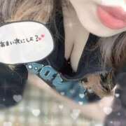 ヒメ日記 2025/11/08 15:45 投稿 えれな ぽっちゃり巨乳素人専門店ぷにめろ渋谷店