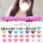 ヒメ日記 2025/11/24 12:05 投稿 えれな ぽっちゃり巨乳素人専門店ぷにめろ渋谷店