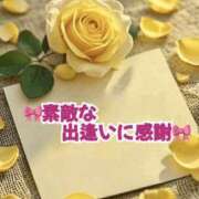 ヒメ日記 2025/11/15 15:47 投稿 日向おと 五十路マダム 沼津店(カサブランカグループ)