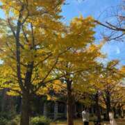 ヒメ日記 2025/12/01 19:33 投稿 日向おと 五十路マダム 沼津店(カサブランカグループ)