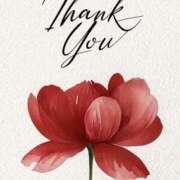 ヒメ日記 2026/04/17 17:05 投稿 日向おと 五十路マダム 沼津店(カサブランカグループ)