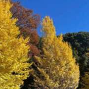 ヒメ日記 2025/11/25 20:25 投稿 まあや ぽっちゃり巨乳素人専門店ぷにめろ渋谷店