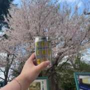 ヒメ日記 2026/03/31 19:55 投稿 まあや ぽっちゃり巨乳素人専門店ぷにめろ渋谷店