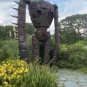 ヒメ日記 2025/12/28 16:45 投稿 こなた ぽっちゃり巨乳素人専門店ぷにめろ渋谷店