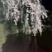 ヒメ日記 2026/03/19 18:30 投稿 こなた ぽっちゃり巨乳素人専門店ぷにめろ渋谷店