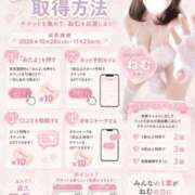 ヒメ日記 2026/09/25 12:05 投稿 ねむ ぽっちゃり巨乳素人専門店ぷにめろ渋谷店