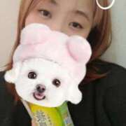 ヒメ日記 2025/11/13 14:05 投稿 みつり ぽっちゃり巨乳素人専門店ぷにめろ渋谷店