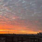 ヒメ日記 2025/11/28 13:25 投稿 ゆこ ぽっちゃり巨乳素人専門店ぷにめろ渋谷店