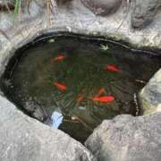 ヒメ日記 2025/12/02 23:21 投稿 ゆこ ぽっちゃり巨乳素人専門店ぷにめろ渋谷店