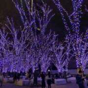 ヒメ日記 2025/12/22 18:15 投稿 ゆこ ぽっちゃり巨乳素人専門店ぷにめろ渋谷店