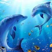 ヒメ日記 2026/01/09 17:45 投稿 ゆこ ぽっちゃり巨乳素人専門店ぷにめろ渋谷店