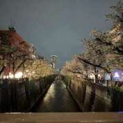 ヒメ日記 2026/01/28 22:25 投稿 ゆこ ぽっちゃり巨乳素人専門店ぷにめろ渋谷店