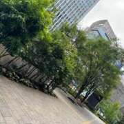 ゆこ エルメ　203様 ぽっちゃり巨乳素人専門店ぷにめろ渋谷店