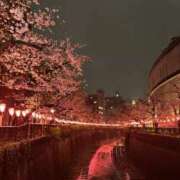 ヒメ日記 2026/02/19 20:35 投稿 ゆこ ぽっちゃり巨乳素人専門店ぷにめろ渋谷店