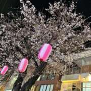 ヒメ日記 2026/03/28 14:25 投稿 ゆこ ぽっちゃり巨乳素人専門店ぷにめろ渋谷店