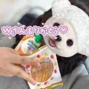 ヒメ日記 2026/01/03 14:56 投稿 れいか ぽっちゃり巨乳素人専門店ぷにめろ渋谷店