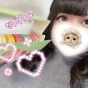 ヒメ日記 2026/01/04 15:45 投稿 れいか ぽっちゃり巨乳素人専門店ぷにめろ渋谷店