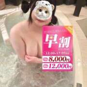 ヒメ日記 2026/01/23 12:05 投稿 れいか ぽっちゃり巨乳素人専門店ぷにめろ渋谷店