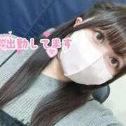 ヒメ日記 2026/03/18 12:05 投稿 れいか ぽっちゃり巨乳素人専門店ぷにめろ渋谷店