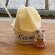 ヒメ日記 2026/03/30 14:25 投稿 れいか ぽっちゃり巨乳素人専門店ぷにめろ渋谷店