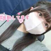 ヒメ日記 2026/04/15 10:15 投稿 れいか ぽっちゃり巨乳素人専門店ぷにめろ渋谷店