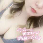 ヒメ日記 2026/05/10 03:35 投稿 くう ぽっちゃり巨乳素人専門店ぷにめろ渋谷店