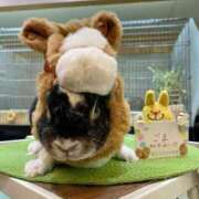 ヒメ日記 2026/01/30 19:15 投稿 ゆず ぽっちゃり巨乳素人専門店ぷにめろ渋谷店