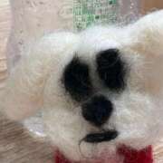 ヒメ日記 2026/03/18 14:25 投稿 ゆず ぽっちゃり巨乳素人専門店ぷにめろ渋谷店